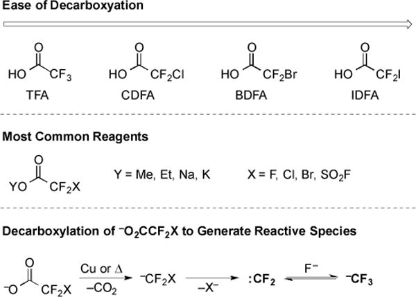 Fig. (1)