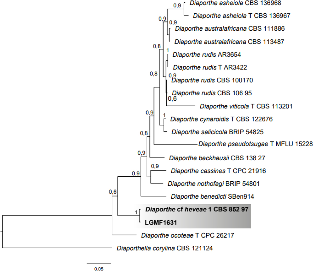 Figure 2.