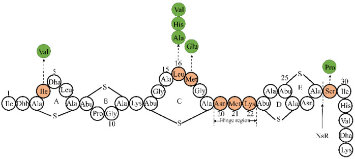 Figure 2