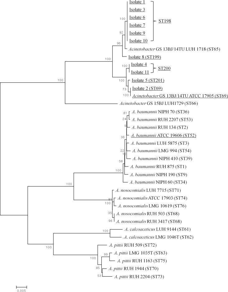 FIG 2