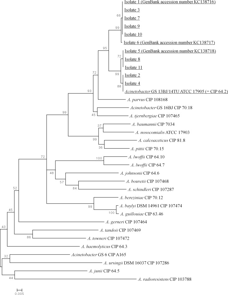 FIG 1