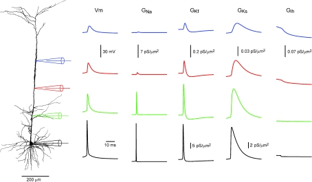 Figure 9