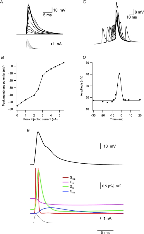 Figure 12