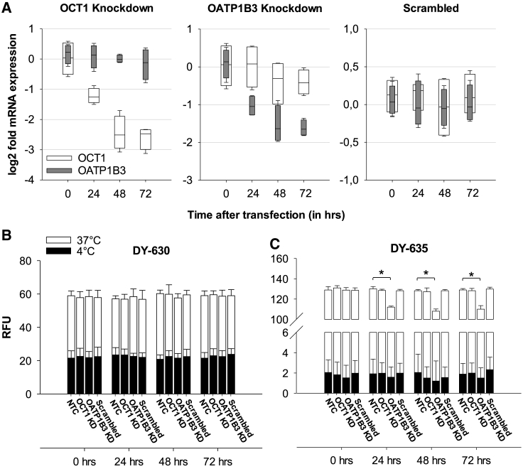 Figure 2