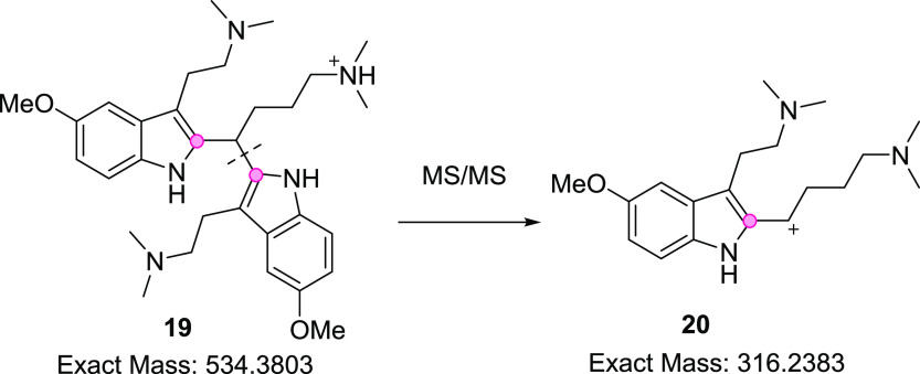 Scheme 5