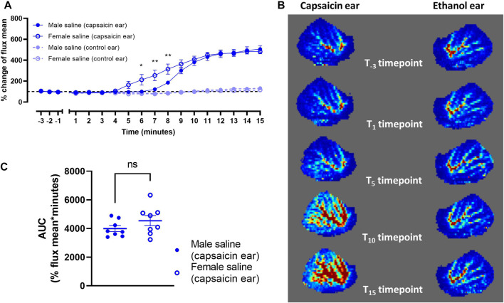 FIGURE 6