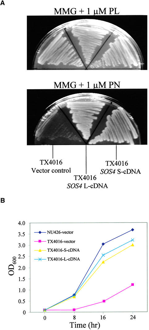 Figure 6.