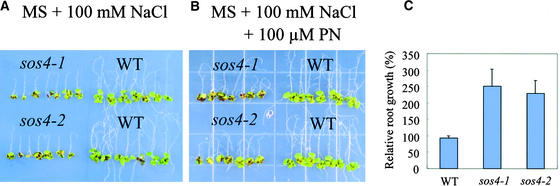 Figure 7.