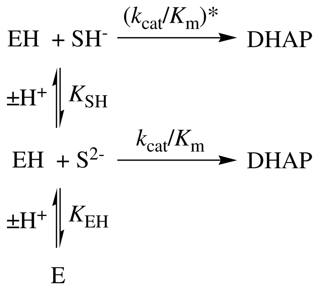 Scheme 3