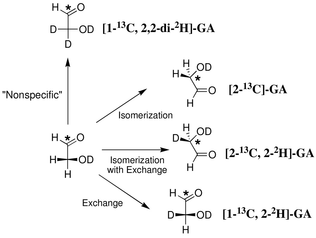 Scheme 5