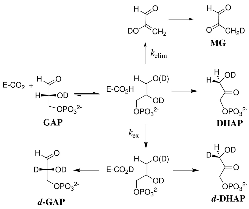 Scheme 4