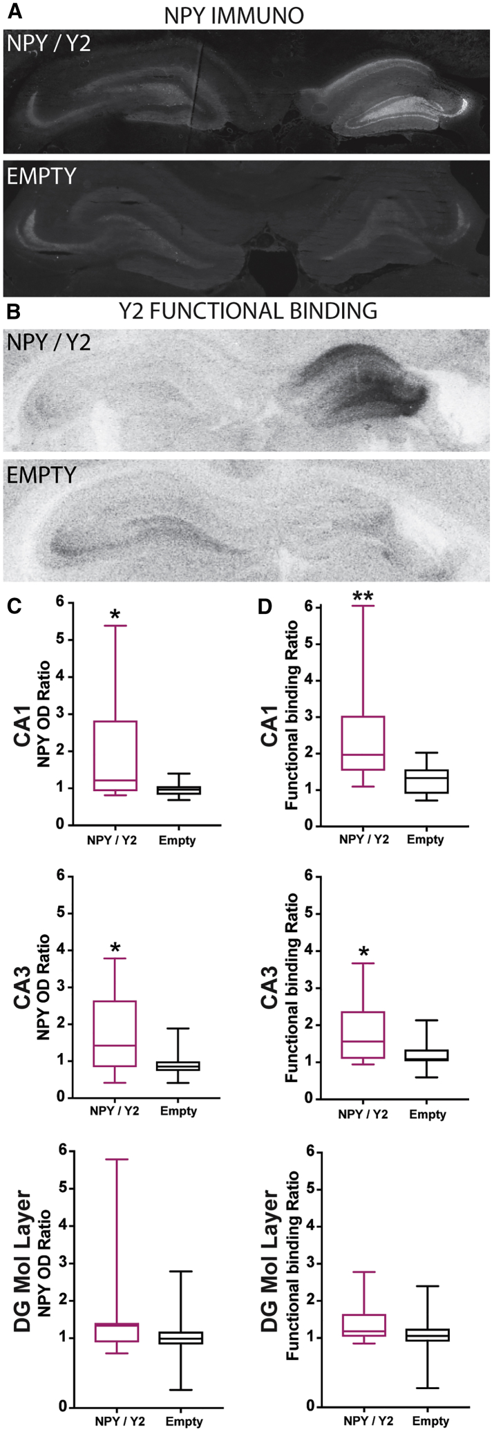 Figure 5