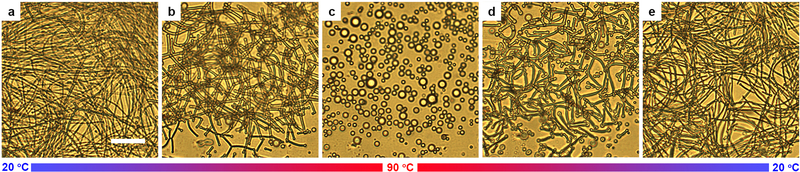 Extended Data Fig. 2 |