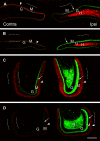 Figure 6.