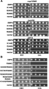 Figure 4.