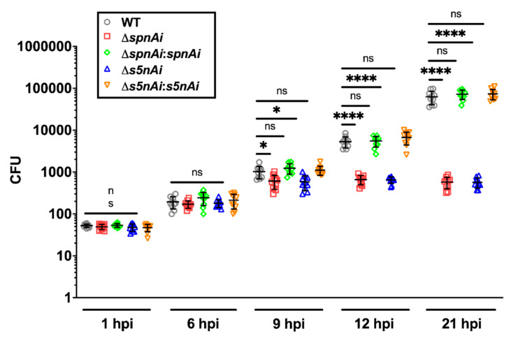 Figure 5