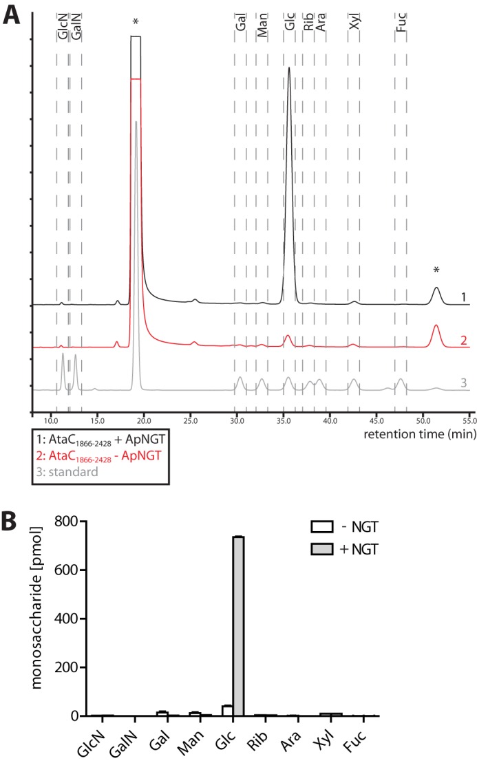 FIGURE 3.