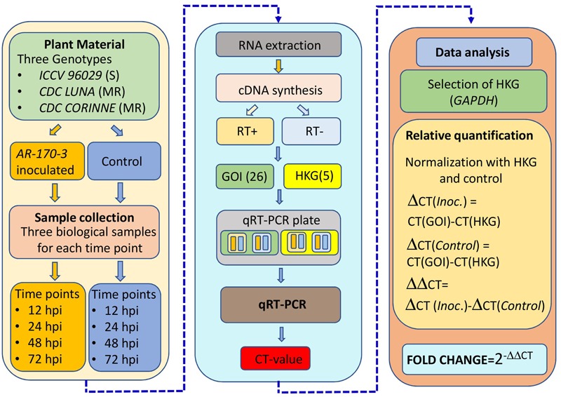 FIGURE 1