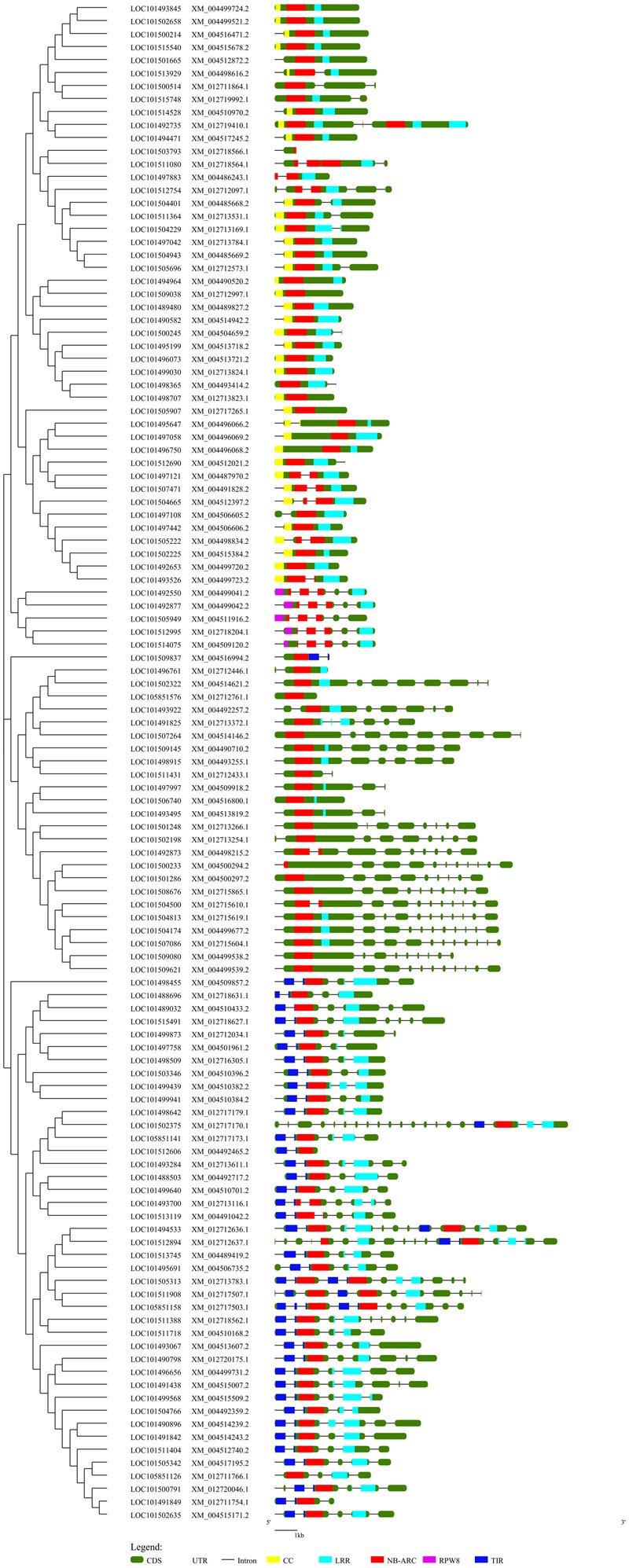 FIGURE 2