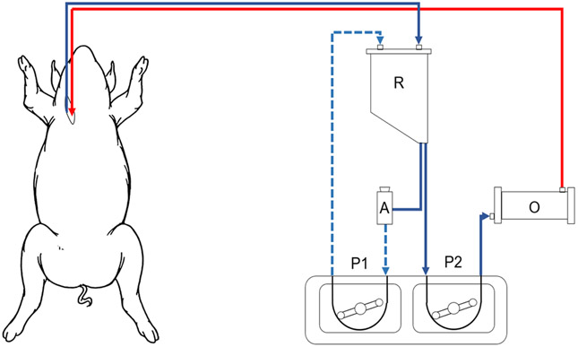 Figure 1: