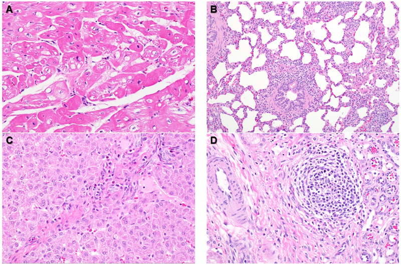 Figure 7: