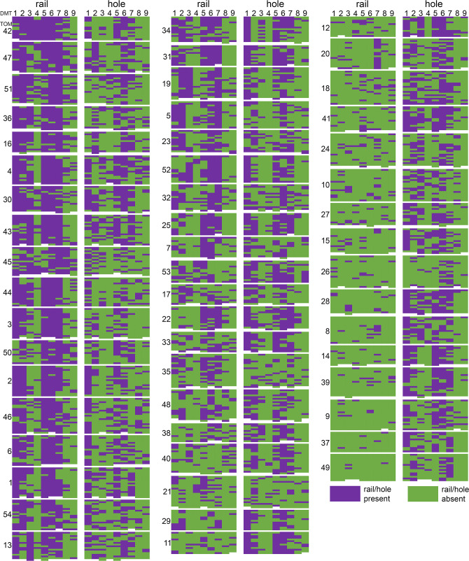 Figure 5—figure supplement 1.