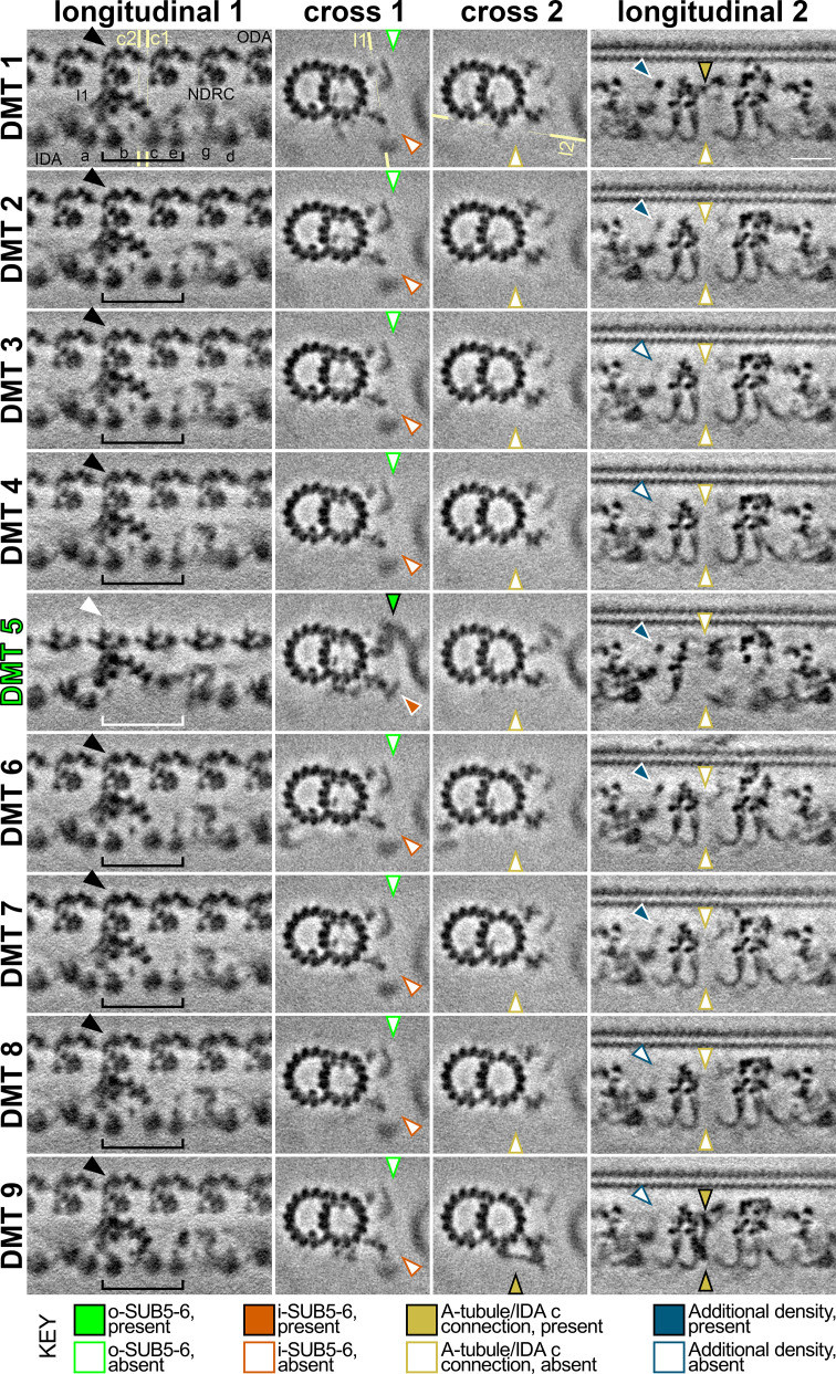 Figure 3—figure supplement 2.