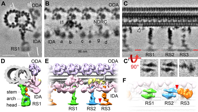 Figure 3.