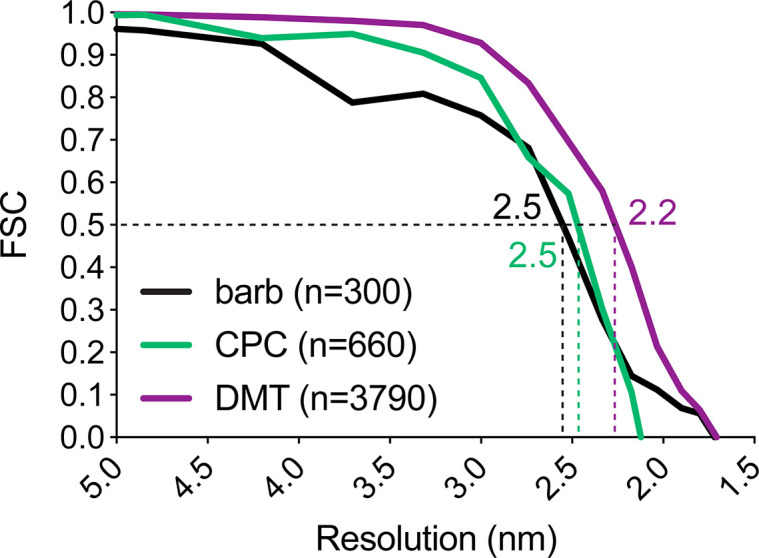 Figure 3—figure supplement 1.