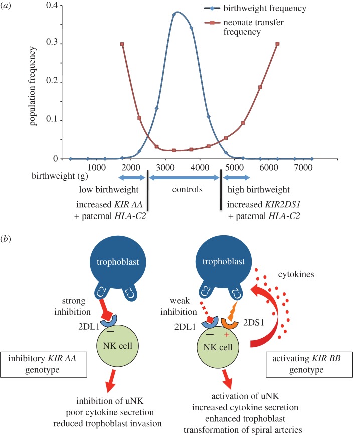 Figure 3.