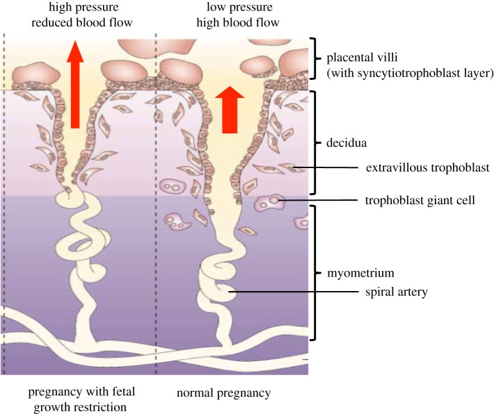 Figure 1.