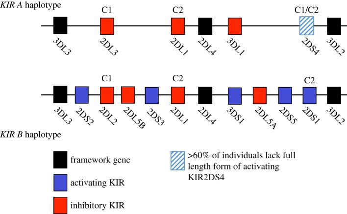 Figure 2.