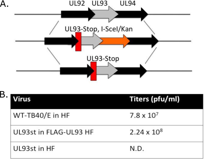 FIG 1