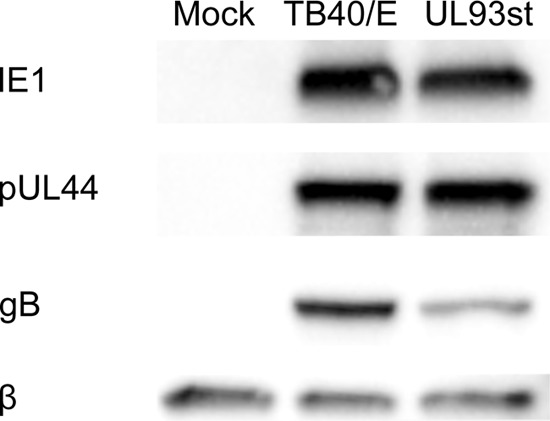 FIG 2