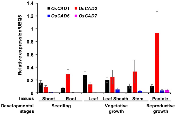 Figure 5