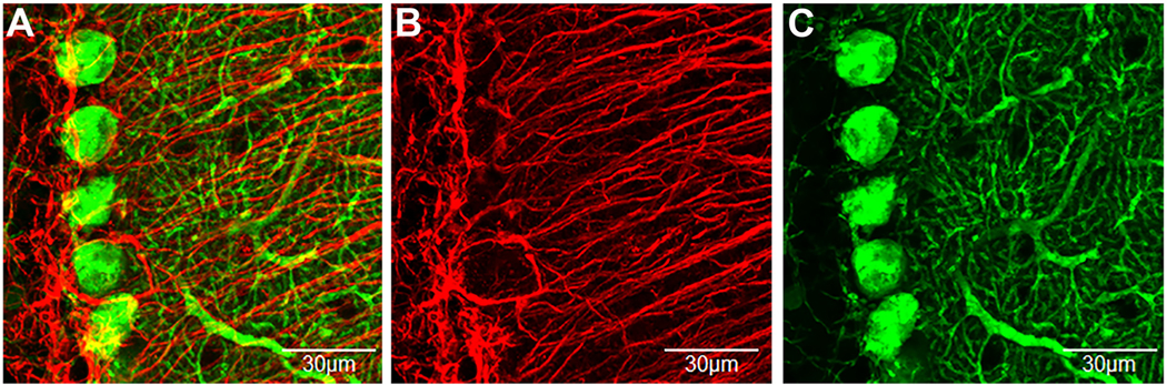 Fig. 2.