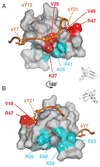 Fig. 5