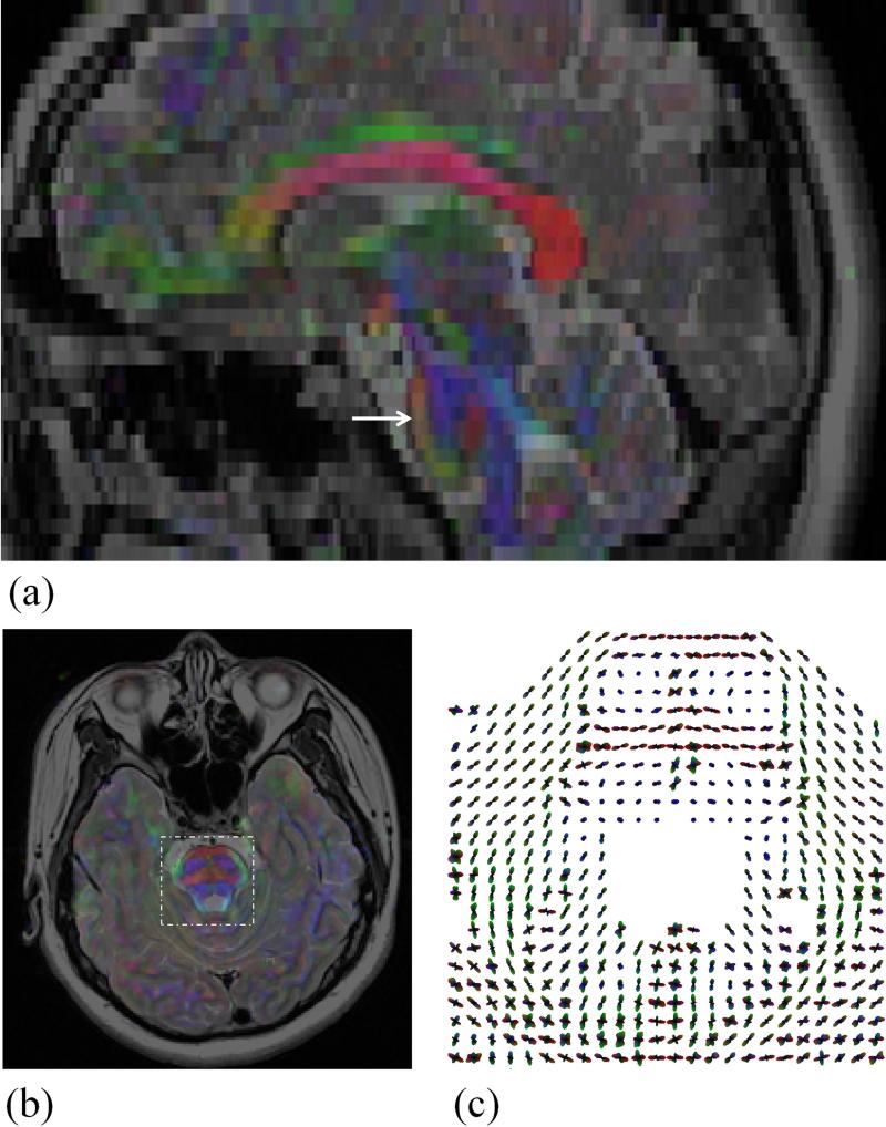 Fig. 7