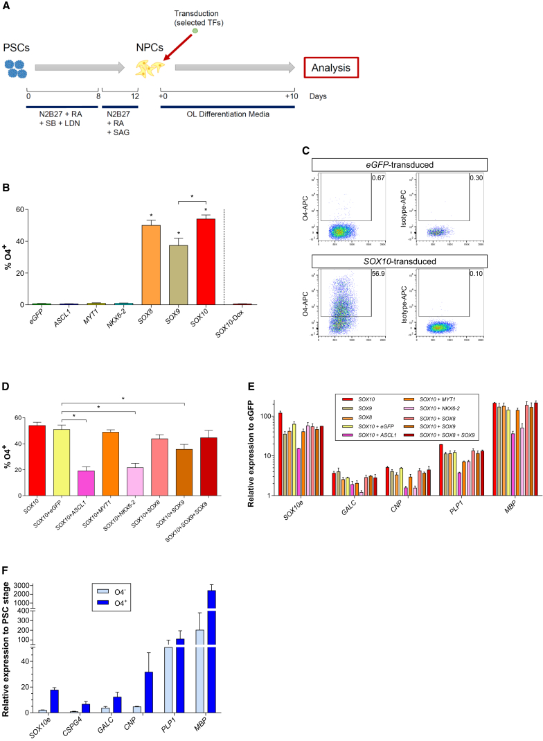 Figure 2