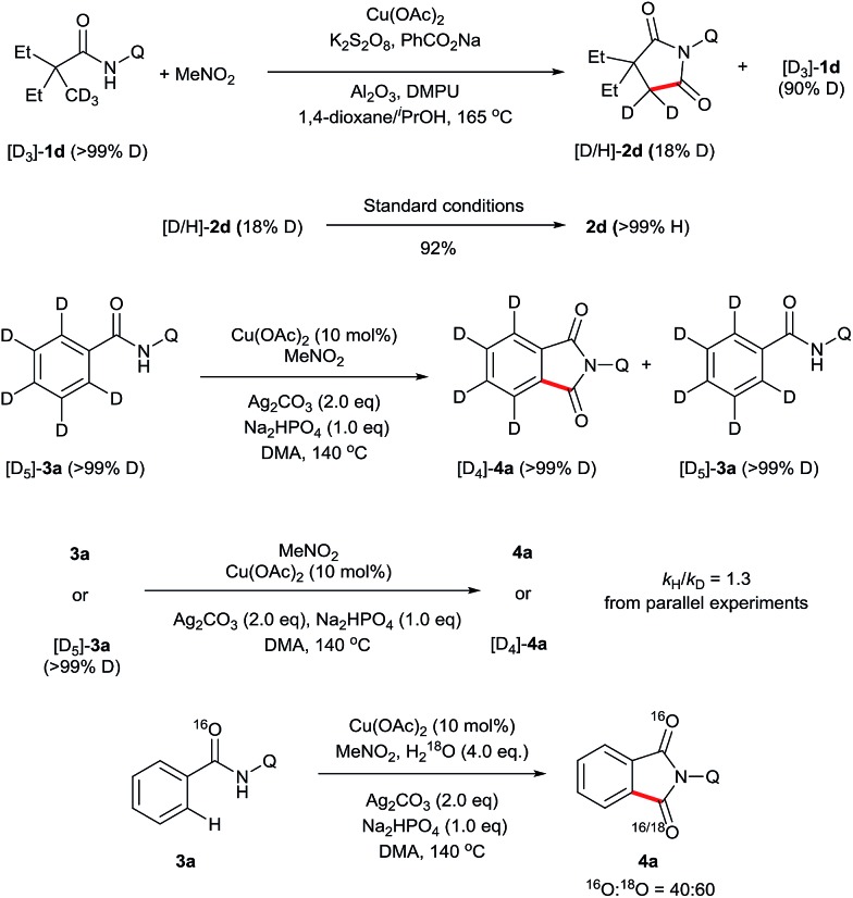 Scheme 4