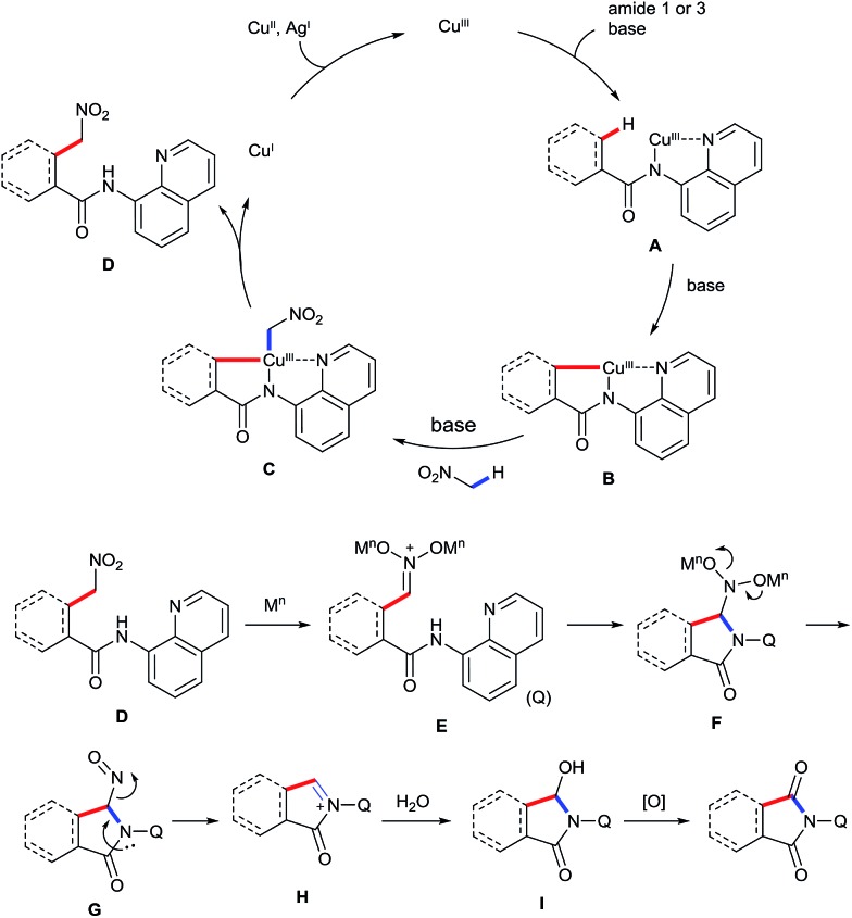 Scheme 6