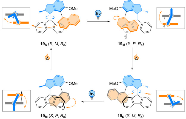 Figure 19