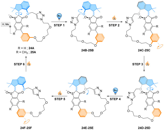 Figure 22