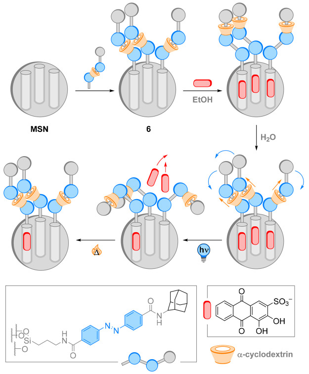 Figure 7