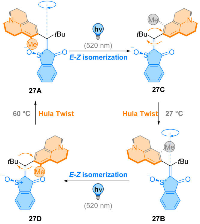 Figure 24