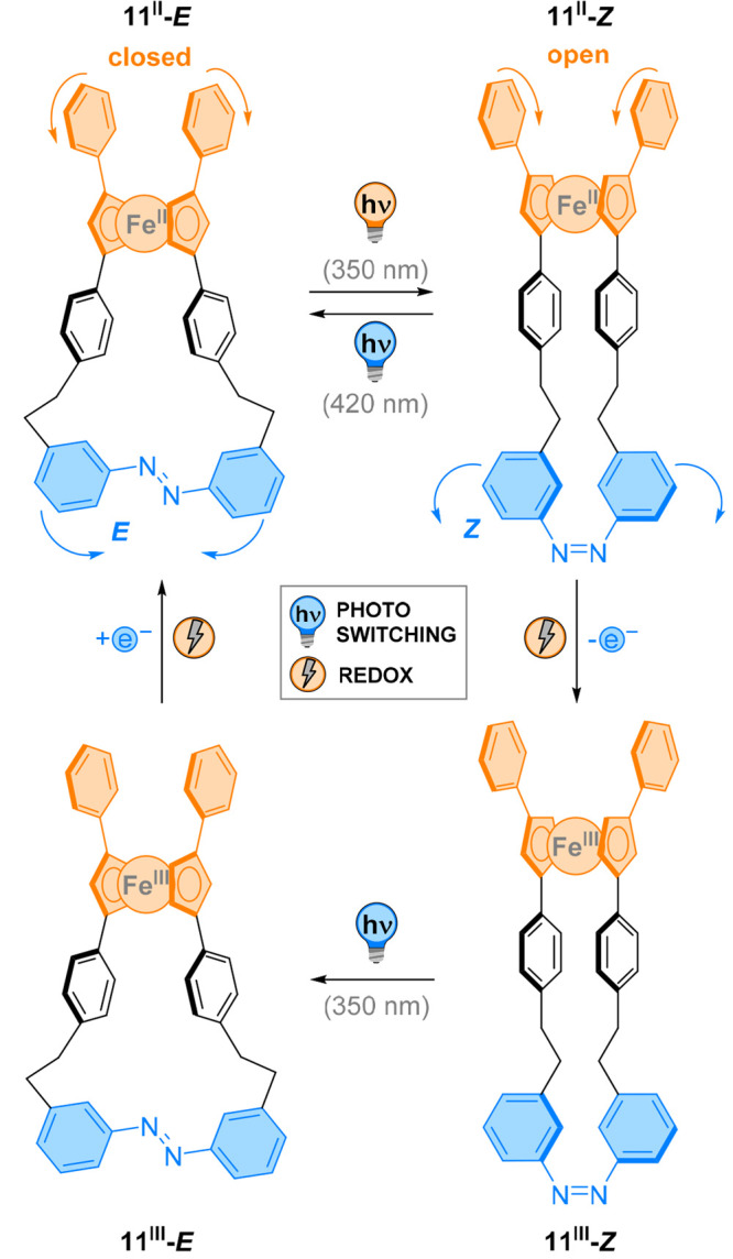 Figure 12