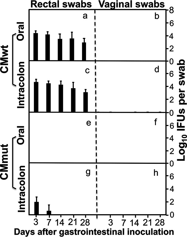 FIG 2