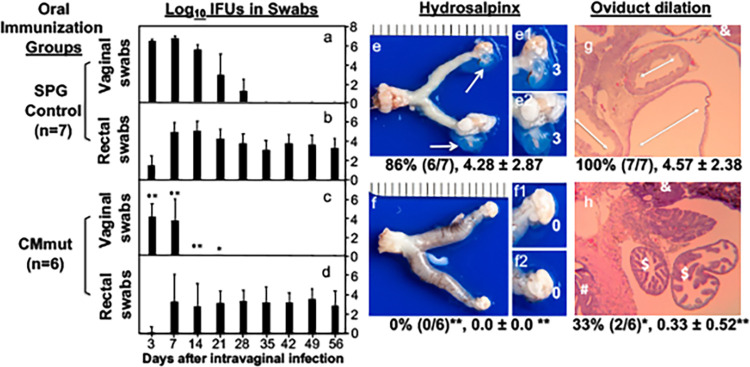 FIG 3