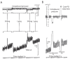Figure 2)