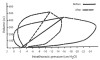 Figure 4)